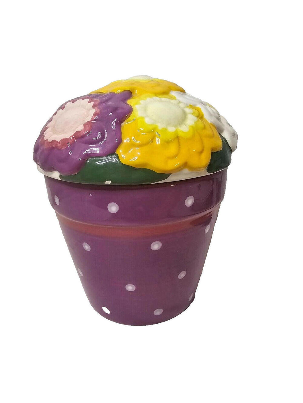 Cookie Jar Flowerpot Celebrate Unique Spring Boston Warehouse Ceramic 9" B5